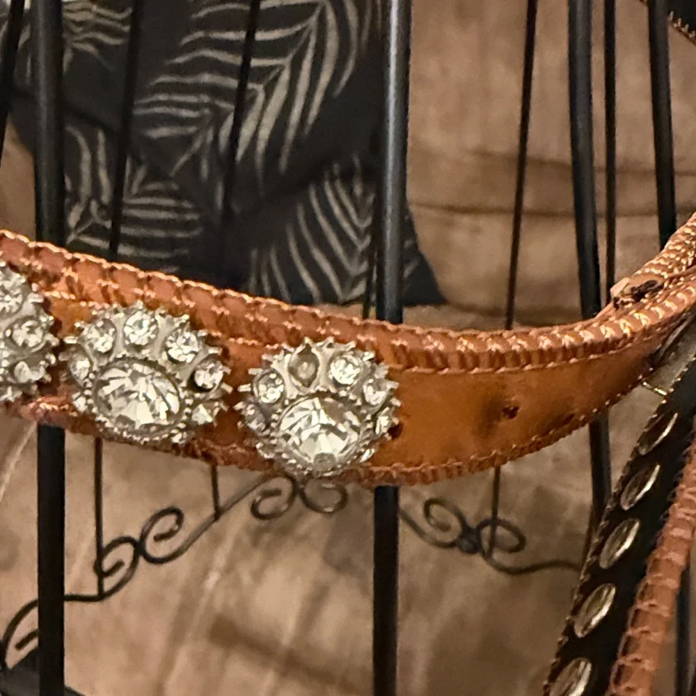 Elegant Brown Rhinestone Belt